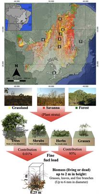 Responses of Plant Biomass in the Brazilian Savanna to Frequent Fires